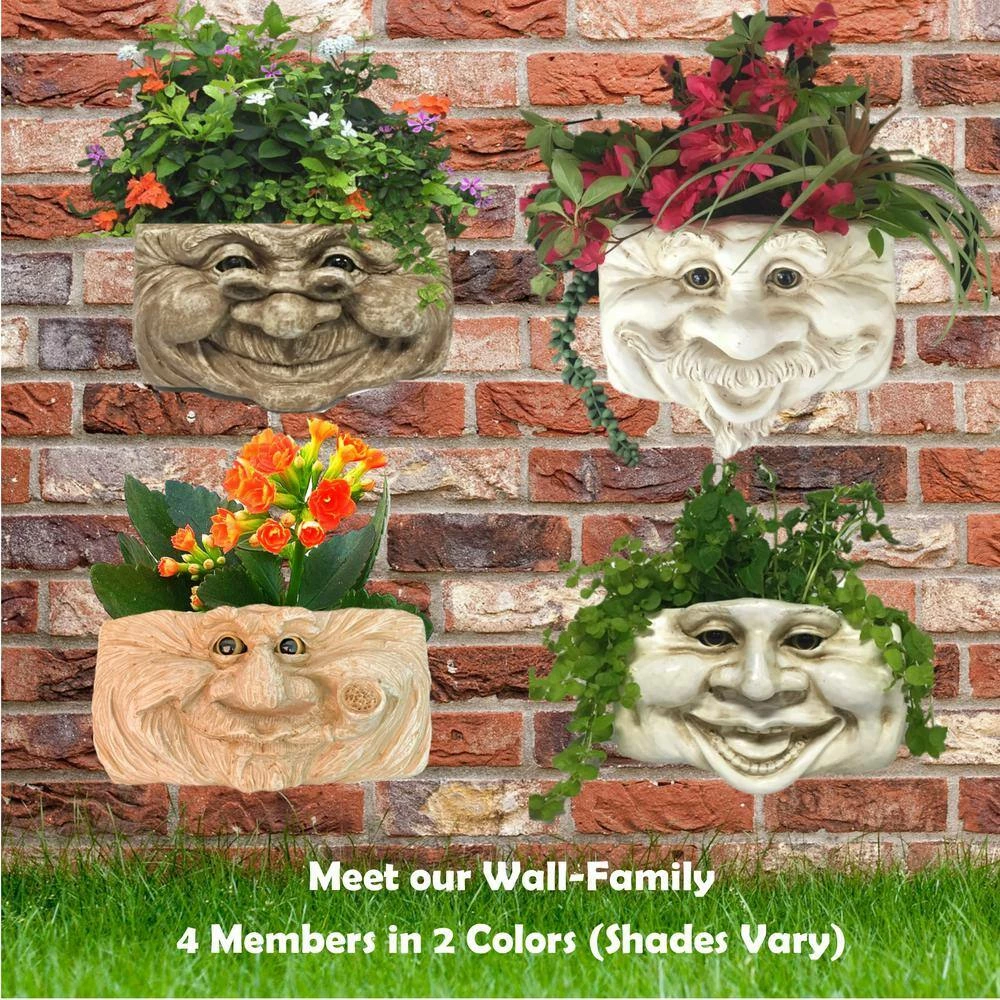 HOMESTYLES 10.5 in. Aunt Minnie Ant. White the Muggly Tree Wall Planter - Image 4