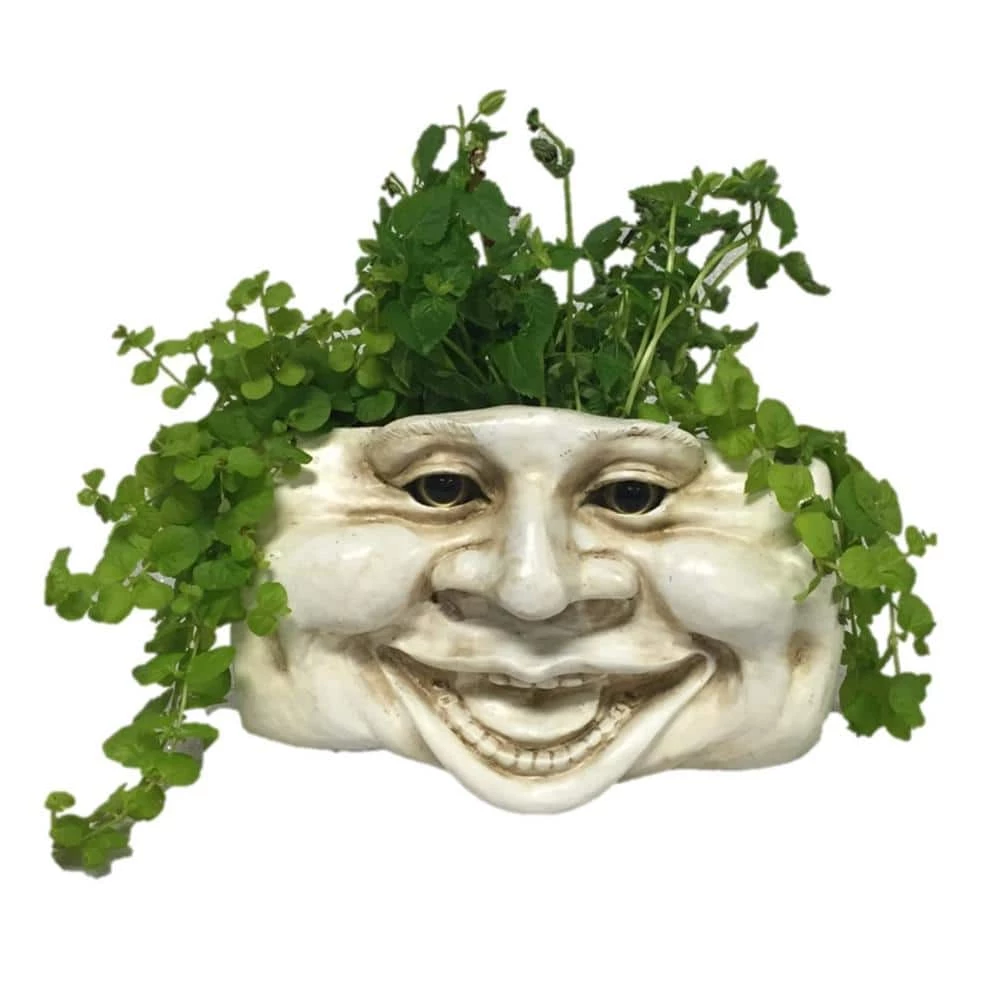 HOMESTYLES 10.5 in. Aunt Minnie Ant. White the Muggly Tree Wall Planter