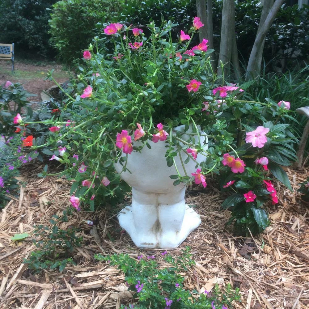 HOMESTYLES 12 in. Antique White Aunt Minnie the Muggly Statue Face Planter Holds 4 in. Pot - Image 3