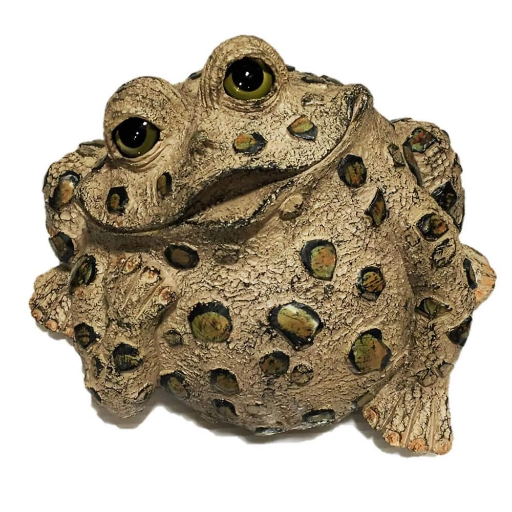 HOMESTYLES Toad Hollow 10 in. W Large Toad Dreamer Whimsical Home and Garden Statue