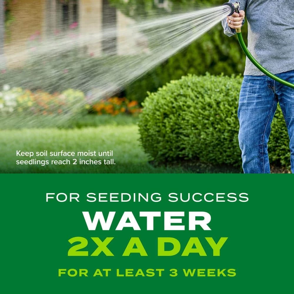 Scotts Turf Builder Rapid Grass 5.6 lb. Sun and Shade Grass Seed - Image 7